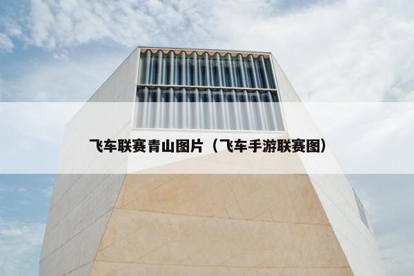 飞车联赛青山图片（飞车手游联赛图）