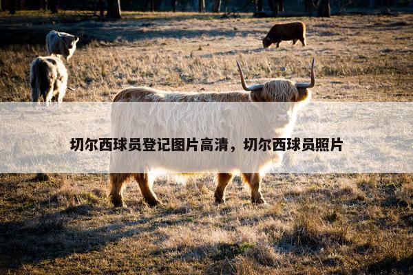 切尔西球员登记图片高清，切尔西球员照片