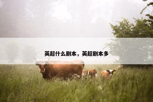 英超什么剧本，英超剧本多