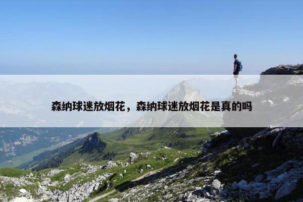 森纳球迷放烟花，森纳球迷放烟花是真的吗
