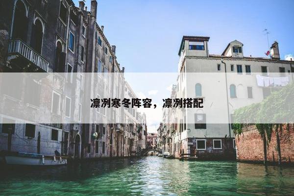 凛冽寒冬阵容，凛冽搭配