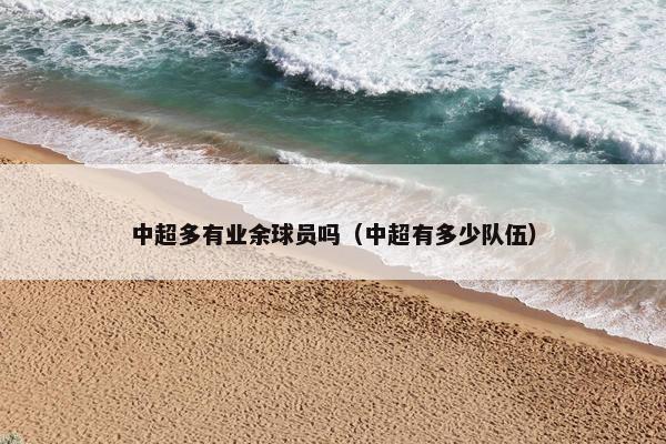 中超多有业余球员吗（中超有多少队伍）