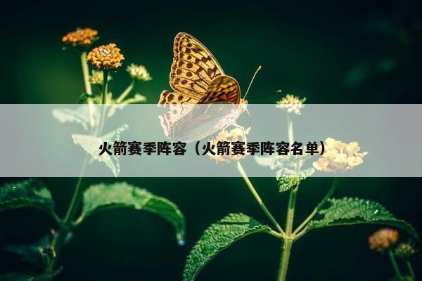 火箭赛季阵容（火箭赛季阵容名单）