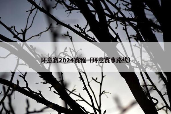 环意赛2024赛程（环意赛事路线）