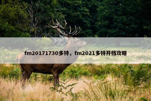 fm20171730多特，fm2021多特开档攻略