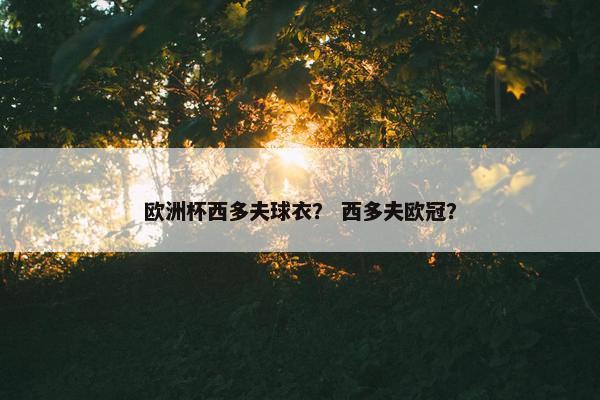 欧洲杯西多夫球衣？ 西多夫欧冠？