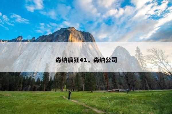 森纳疯狂41，森纳公司