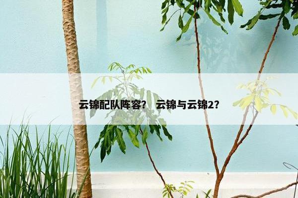 云锦配队阵容？ 云锦与云锦2？