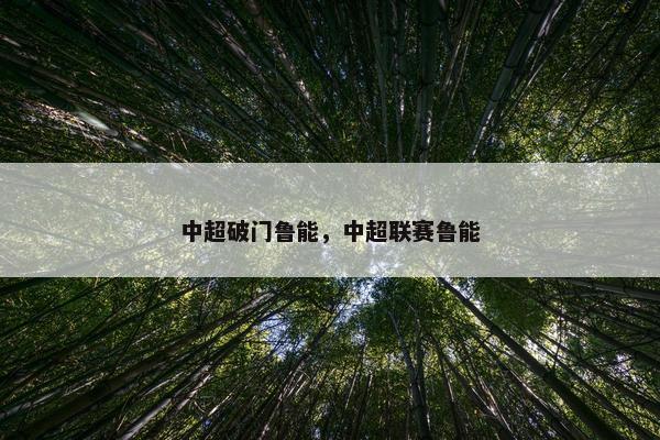 中超破门鲁能，中超联赛鲁能