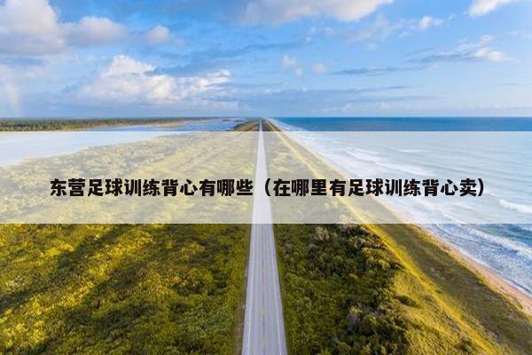 东营足球训练背心有哪些（在哪里有足球训练背心卖）