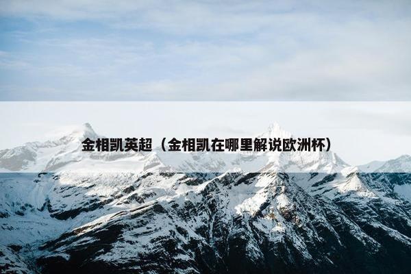 金相凯英超（金相凯在哪里解说欧洲杯）