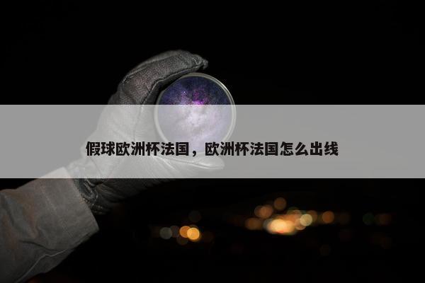 假球欧洲杯法国，欧洲杯法国怎么出线