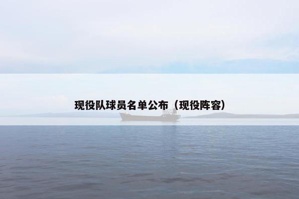 现役队球员名单公布（现役阵容）