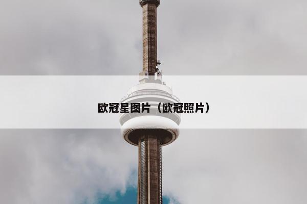 欧冠星图片（欧冠照片）