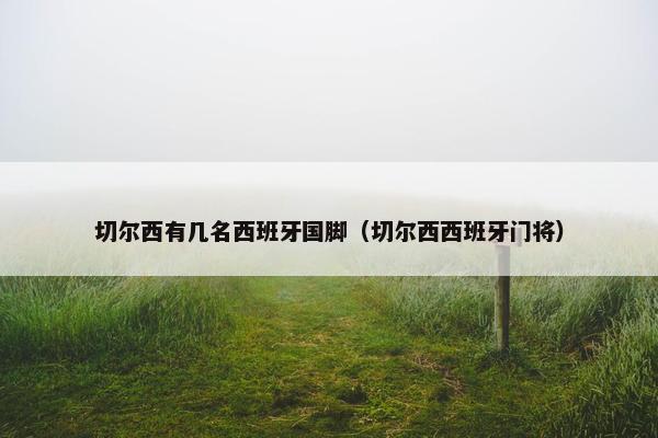 切尔西有几名西班牙国脚（切尔西西班牙门将）