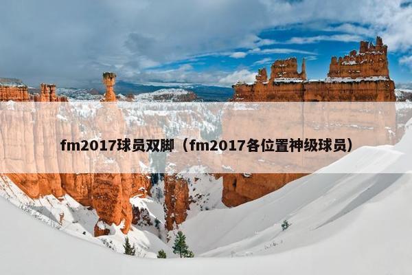 fm2017球员双脚（fm2017各位置神级球员）
