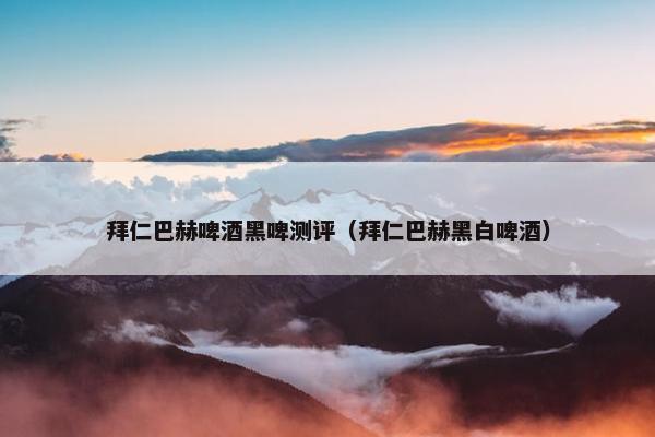 拜仁巴赫啤酒黑啤测评（拜仁巴赫黑白啤酒）