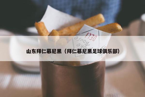 山东拜仁慕尼黑（拜仁慕尼黑足球俱乐部）