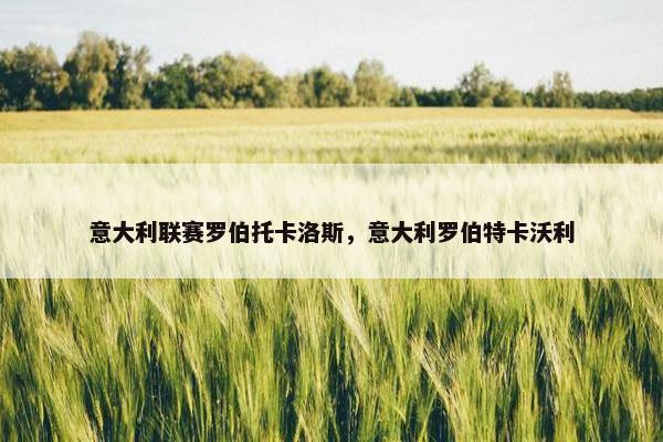 意大利联赛罗伯托卡洛斯，意大利罗伯特卡沃利