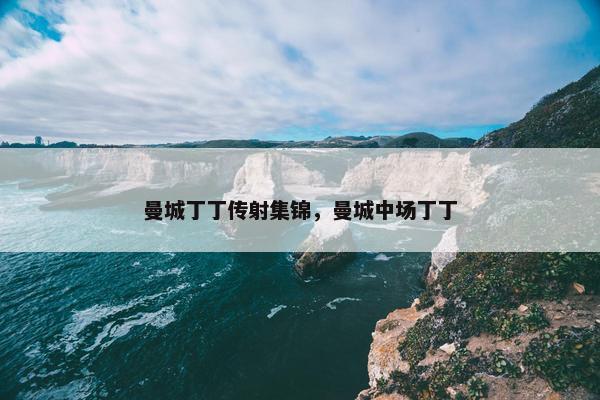 曼城丁丁传射集锦，曼城中场丁丁