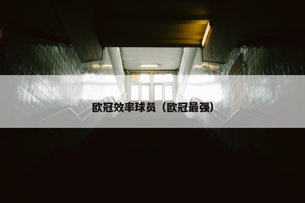 欧冠效率球员（欧冠最强）