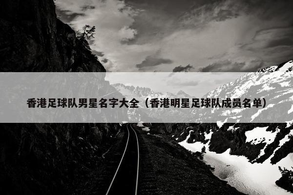 香港足球队男星名字大全（香港明星足球队成员名单）