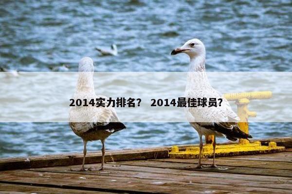 2014实力排名？ 2014最佳球员？