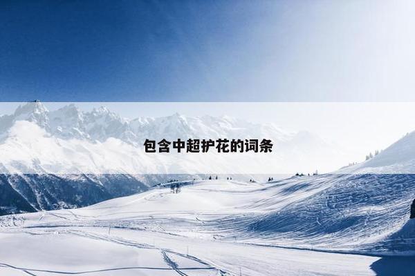 包含中超护花的词条