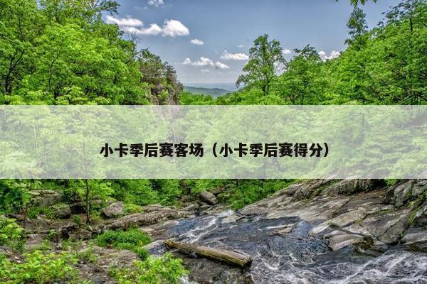 小卡季后赛客场（小卡季后赛得分）