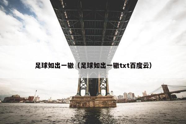 足球如出一辙（足球如出一辙txt百度云）