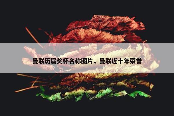 曼联历届奖杯名称图片，曼联近十年荣誉