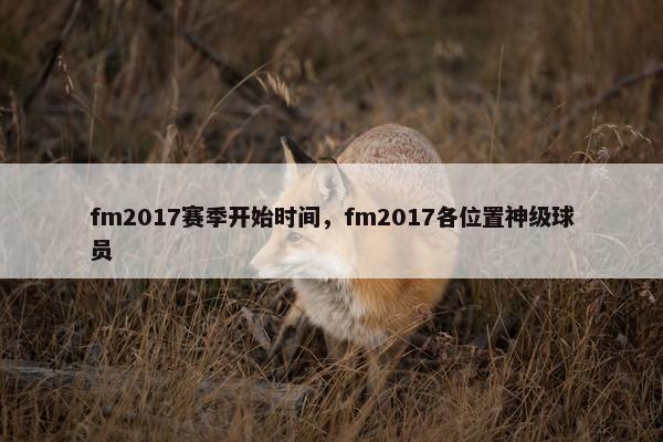 fm2017赛季开始时间，fm2017各位置神级球员