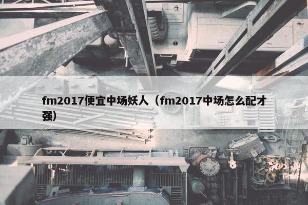 fm2017便宜中场妖人（fm2017中场怎么配才强）