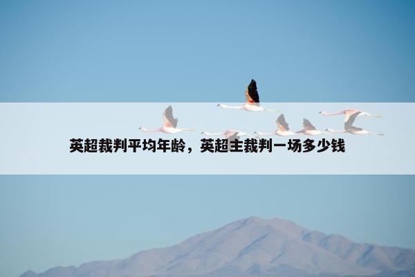 英超裁判平均年龄，英超主裁判一场多少钱