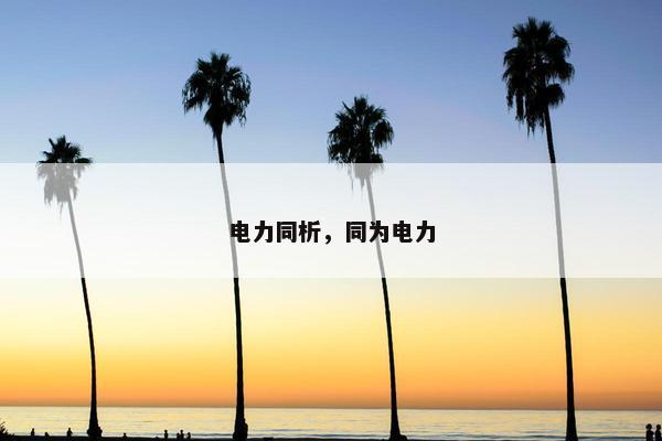 电力同析，同为电力