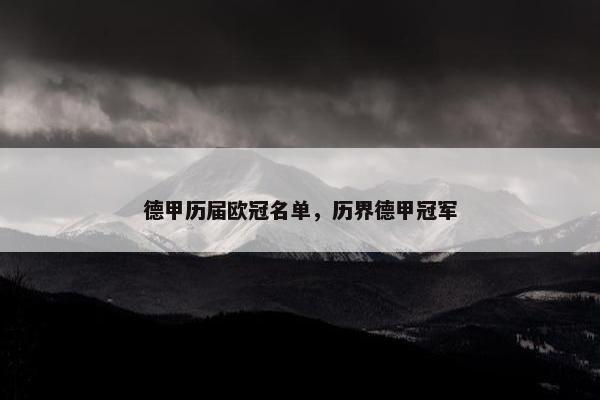 德甲历届欧冠名单，历界德甲冠军