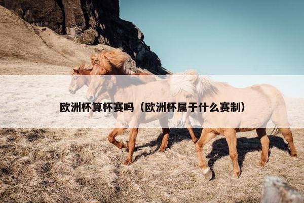 欧洲杯算杯赛吗（欧洲杯属于什么赛制）