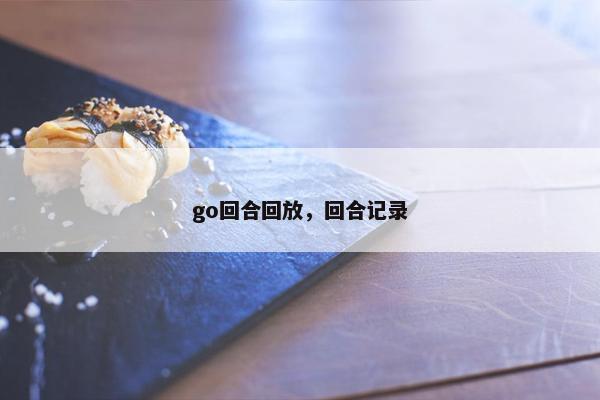 go回合回放，回合记录