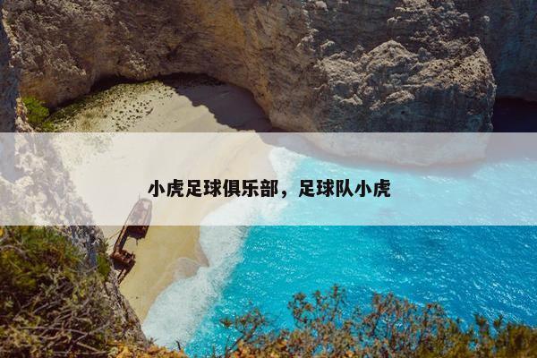 小虎足球俱乐部，足球队小虎