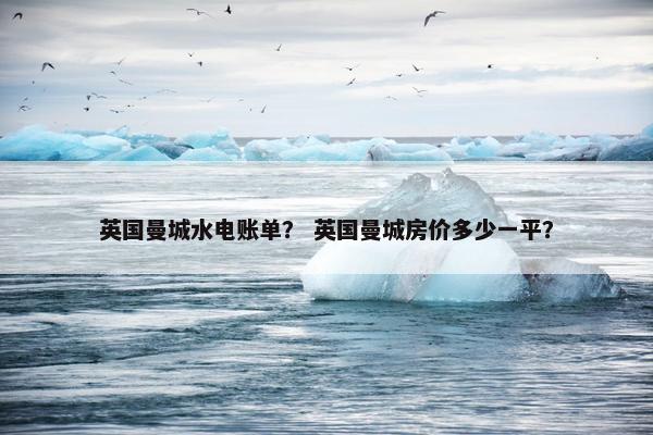 英国曼城水电账单？ 英国曼城房价多少一平？