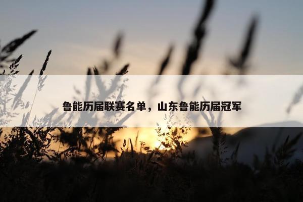 鲁能历届联赛名单，山东鲁能历届冠军