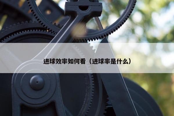 进球效率如何看（进球率是什么）