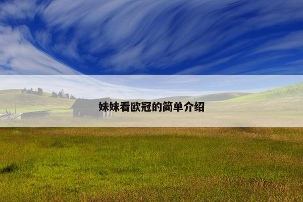 妹妹看欧冠的简单介绍