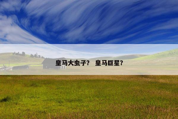皇马大虫子？ 皇马巨星？