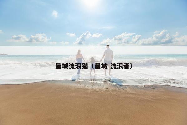 曼城流浪猫（曼城 流浪者）