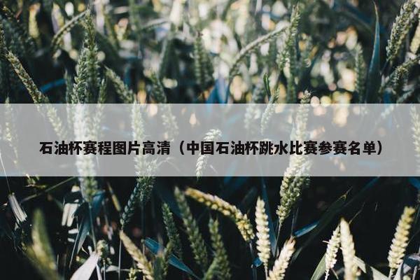 石油杯赛程图片高清（中国石油杯跳水比赛参赛名单）