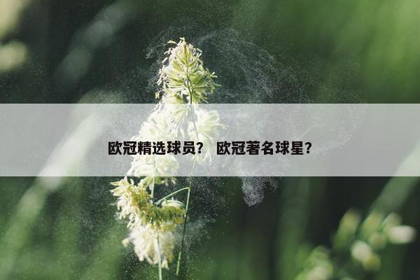 欧冠精选球员？ 欧冠著名球星？