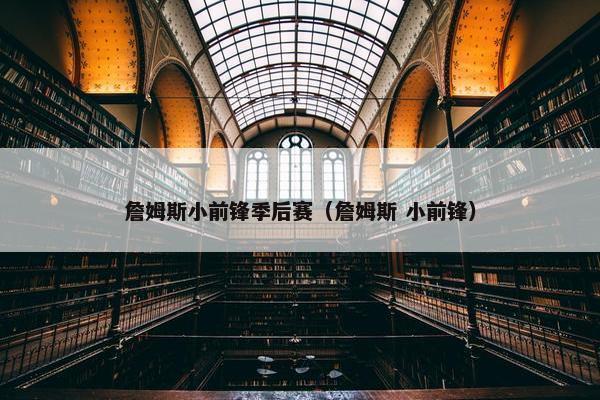 詹姆斯小前锋季后赛（詹姆斯 小前锋）