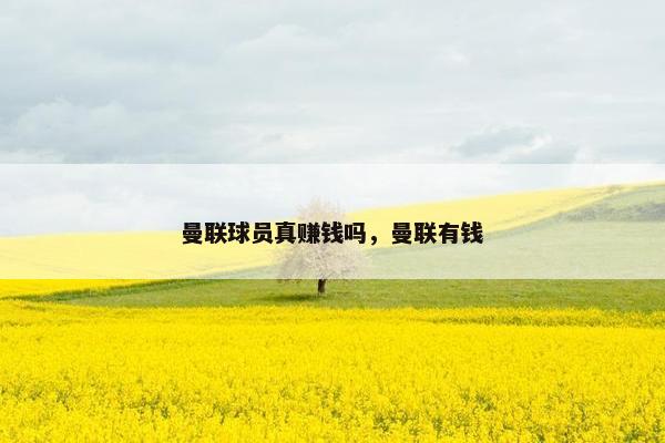 曼联球员真赚钱吗，曼联有钱