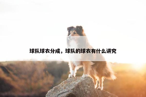 球队球衣分成，球队的球衣有什么讲究